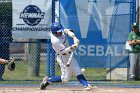 Baseball vs Babson  Wheaton College Baseball vs Babson during Championship game of the NEWMAC Championship hosted by Wheaton. - (Photo by Keith Nordstrom) : Wheaton, baseball, NEWMAC